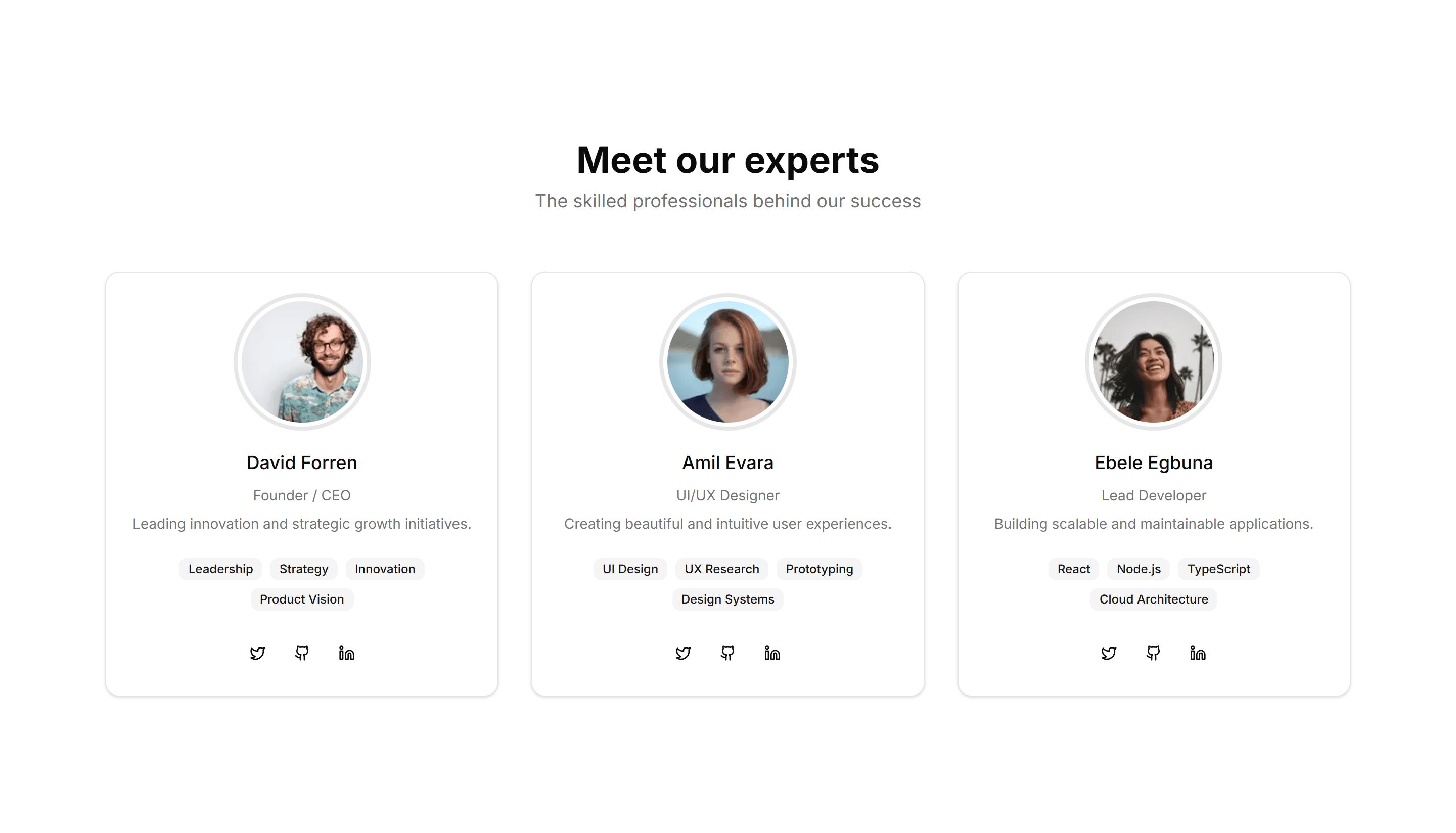 Marketing (Legacy) Team Section: With Skill Badges